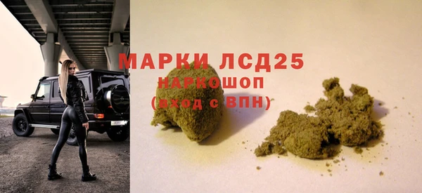 стаф Снежногорск