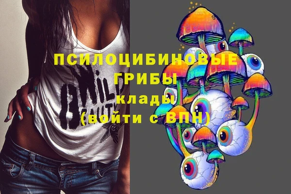 гидра Сосновка