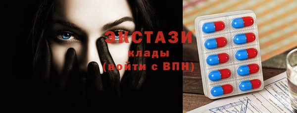 стаф Снежногорск