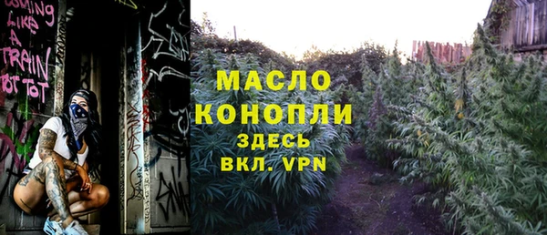 стаф Снежногорск