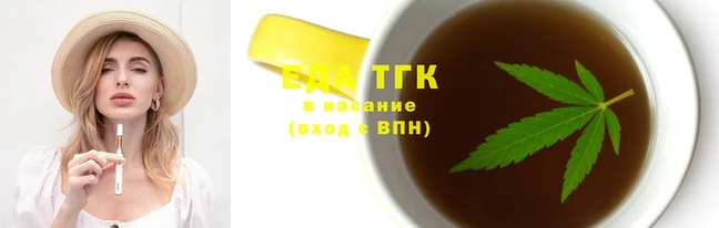 стаф Снежногорск